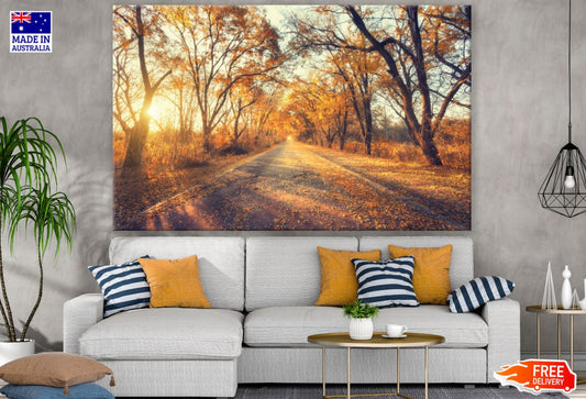 Autumn Forest Sunset Photograph Print 100% Australian Made