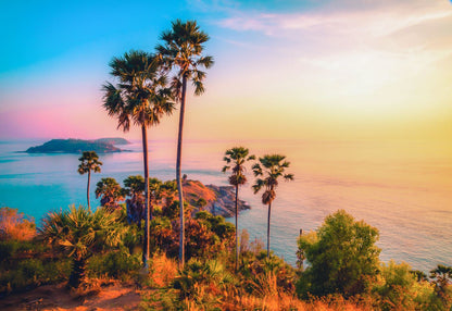 Palm Trees & Sea Sunset Scenery Home Decor Premium Quality Poster Print Choose Your Sizes