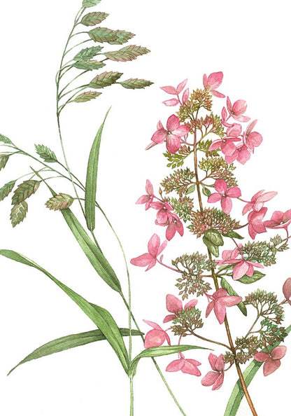 Flowers Closeup Photograph Home Decor Premium Quality Poster Print Choose Your Sizes