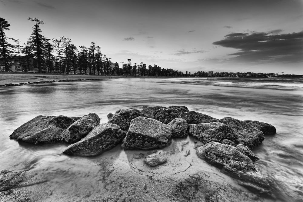 Beach Rocks with Forest View B&W Photograph Print 100% Australian Made