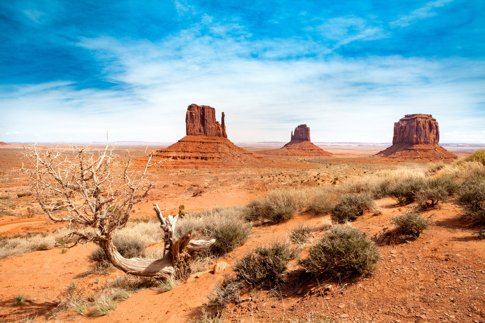 Monument Valley in Arizona Photograph Print 100% Australian Made