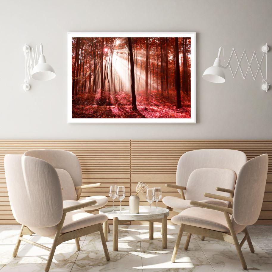 Autumn Forest Scenery Photograph Home Decor Premium Quality Poster Print Choose Your Sizes