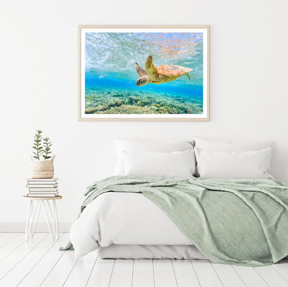 Turtle in Sea Photograph Home Decor Premium Quality Poster Print Choose Your Sizes