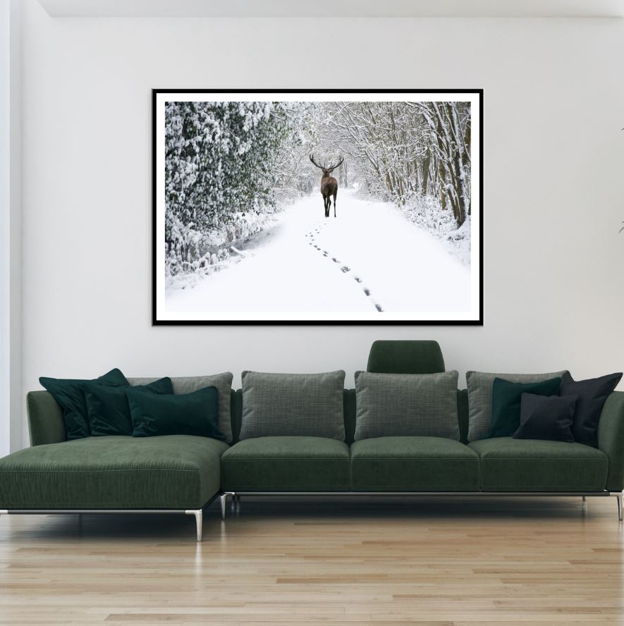 Deer in Snow Covered Forest Photograph Home Decor Premium Quality Poster Print Choose Your Sizes