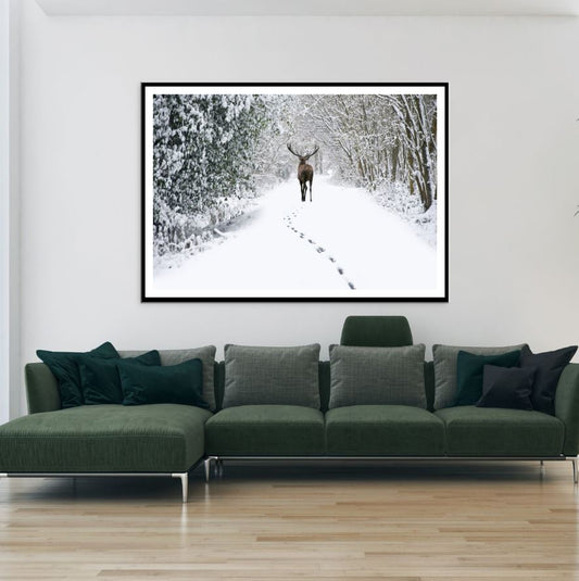 Deer in Snow Covered Forest Photograph Home Decor Premium Quality Poster Print Choose Your Sizes