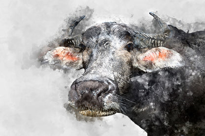 Black Buffalo Watercolor Painting Print 100% Australian Made