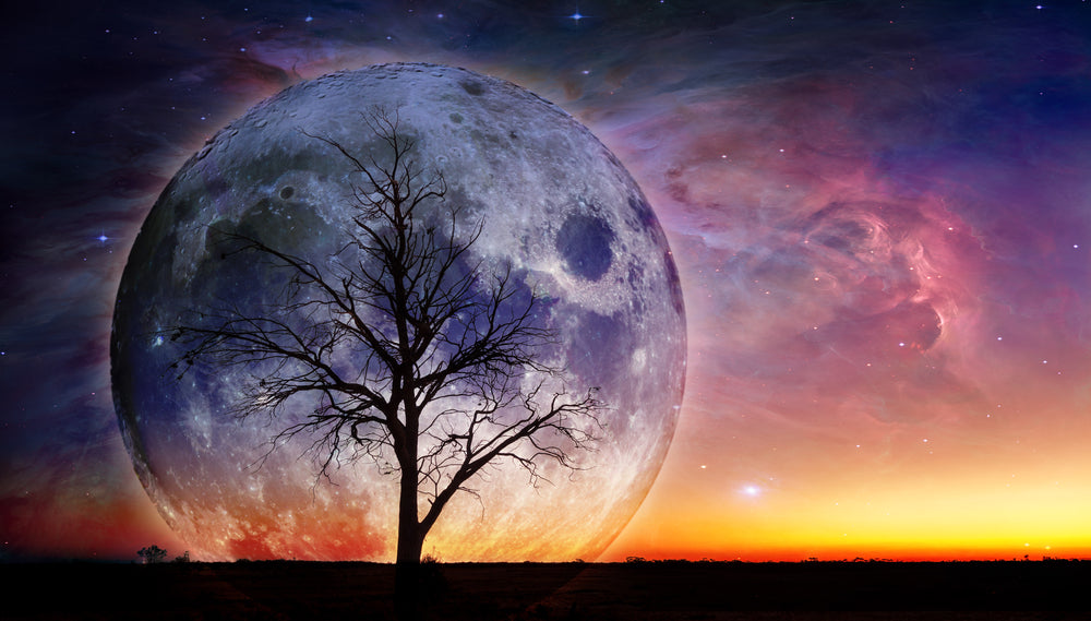 Single Tree Moon Galaxy View Print 100% Australian Made