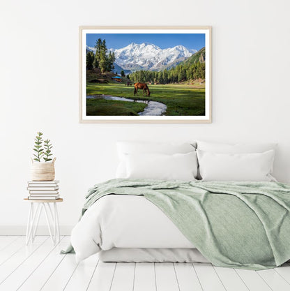 Horse on Meadow Photograph Home Decor Premium Quality Poster Print Choose Your Sizes
