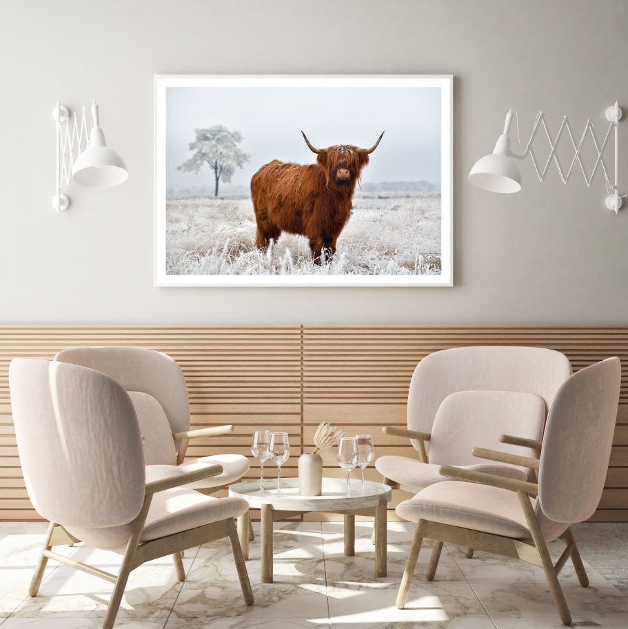 Highland Cow Closeup Photograph Home Decor Premium Quality Poster Print Choose Your Sizes