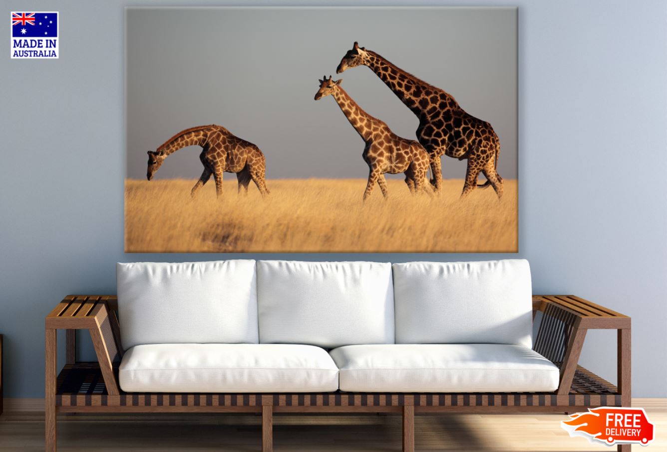 Giraffes in Grass Field Scenery Print 100% Australian Made