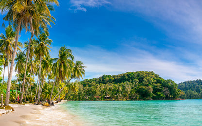 Sea & Palm Trees Scenery View Home Decor Premium Quality Poster Print Choose Your Sizes