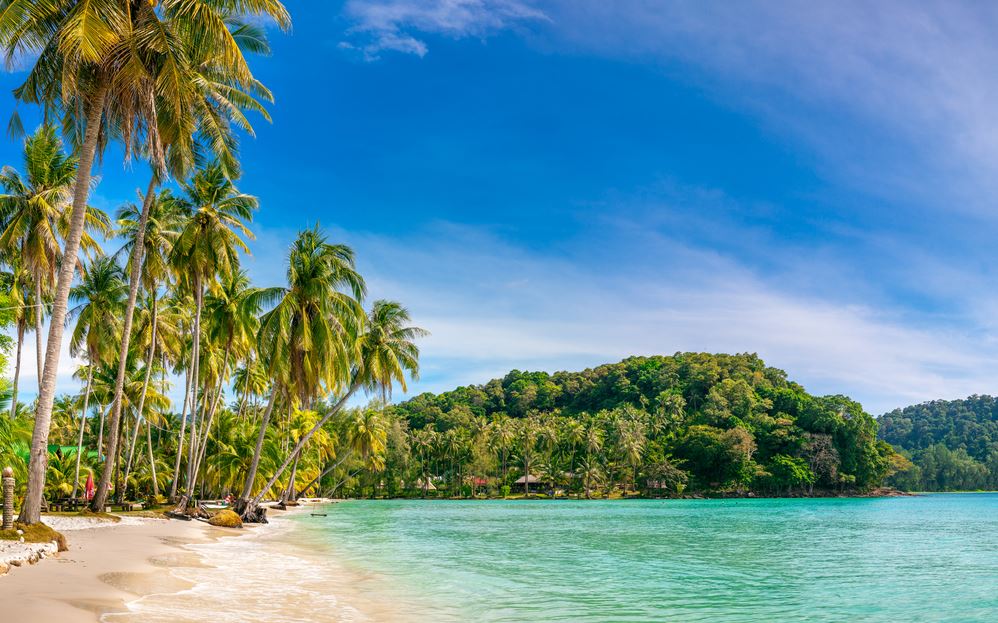 Wallpaper Murals Peel and Stick Removable Stunning Beach Scenery Photograph High Quality
