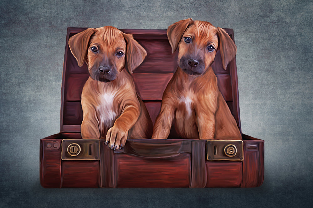 Two Puppies on a Suit Case Painting Print 100% Australian Made