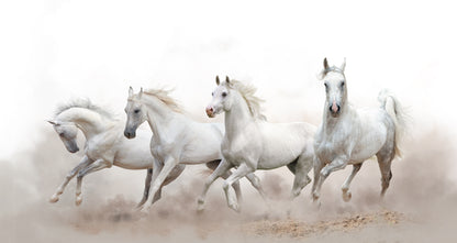 White Horses Running on Desert Print 100% Australian Made
