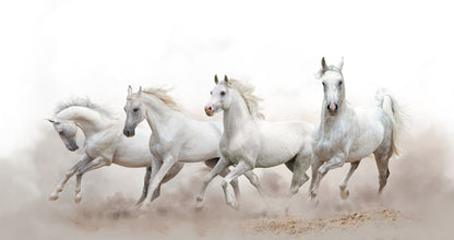 Horses Running on Sand Photograph Home Decor Premium Quality Poster Print Choose Your Sizes