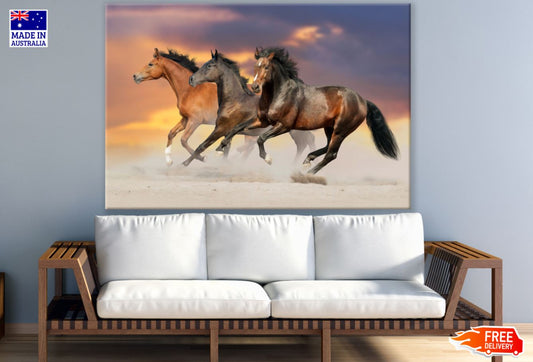 Running Horses Photograph Print 100% Australian Made