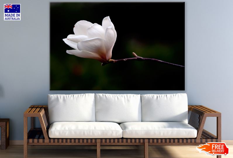 Small White Flower Closeup Photograph Print 100% Australian Made