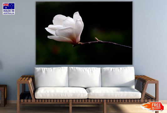 Small White Flower Closeup Photograph Print 100% Australian Made