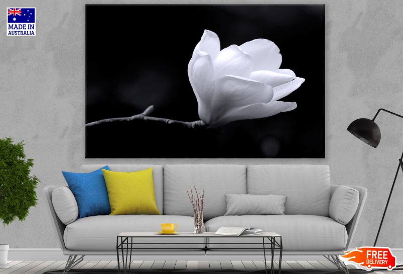 Small White Flower Closeup Photograph Print 100% Australian Made