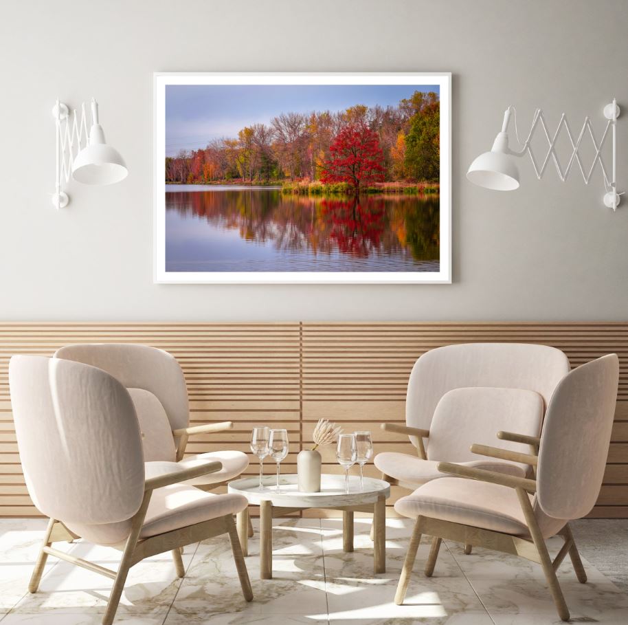 Lake & Forest Scenery Photograph Home Decor Premium Quality Poster Print Choose Your Sizes