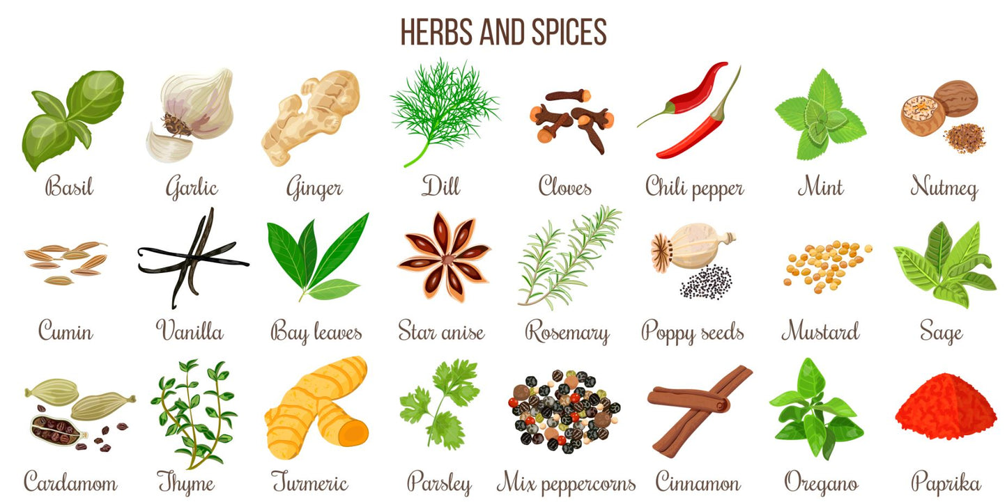 Herbs and Spices Vector Art Print 100% Australian Made