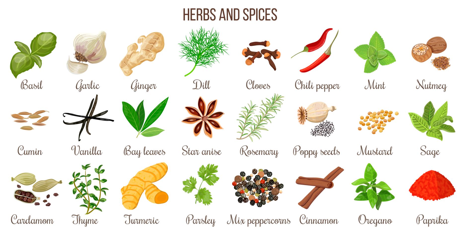 Herbs and Spices Vector Art Print 100% Australian Made