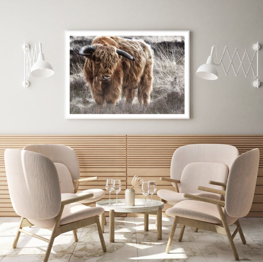 Highland Cow Closeup Photograph Home Decor Premium Quality Poster Print Choose Your Sizes