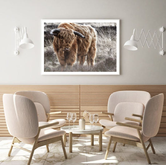 Highland Cow Closeup Photograph Home Decor Premium Quality Poster Print Choose Your Sizes