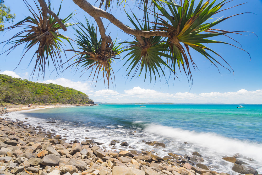 Beach & Forest Scenery Photograph Print 100% Australian Made