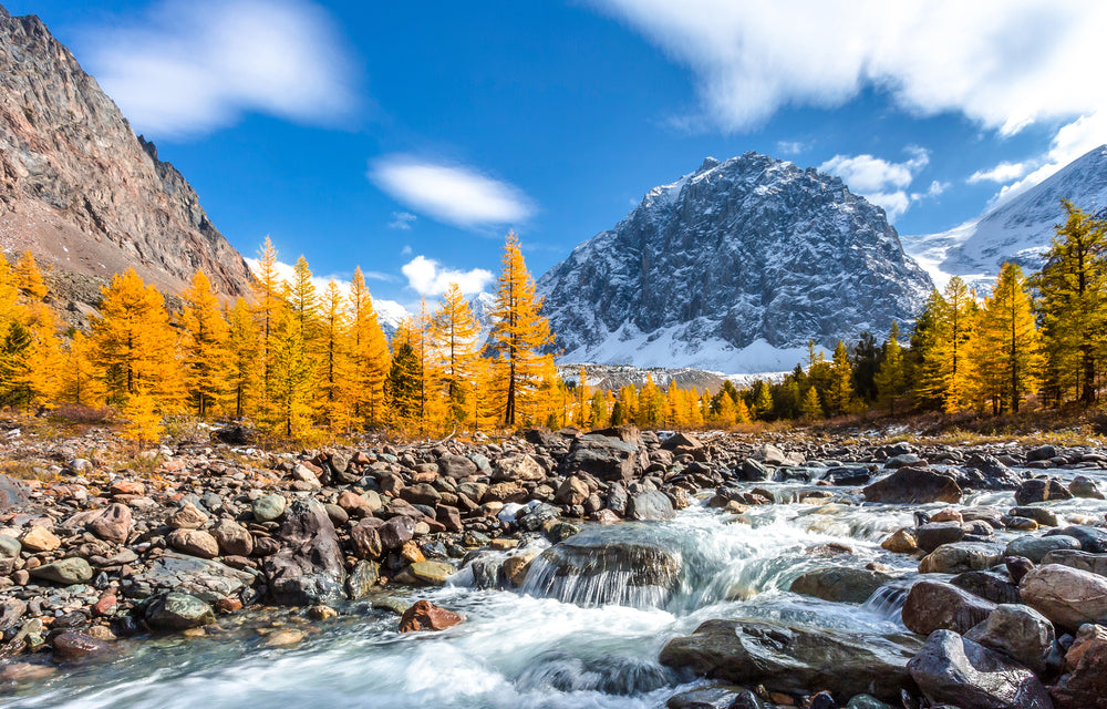 Water Stream & Yellow Trees With Mountain View Print 100% Australian Made