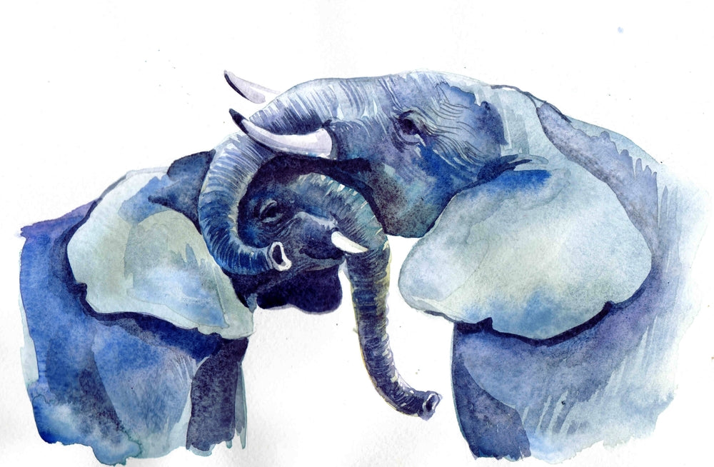 Elephant Couple Love Portrait Painting Print 100% Australian Made