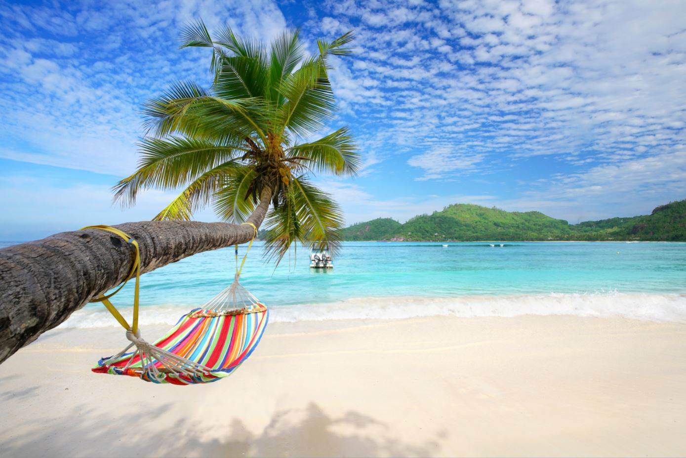 Hammock in Tree Stunning Beach View Photograph Print 100% Australian Made