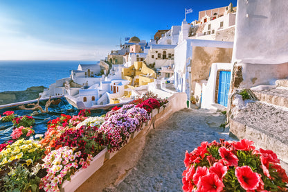 Flower Vases & Houses Photograph Home Decor Premium Quality Poster Print Choose Your Sizes