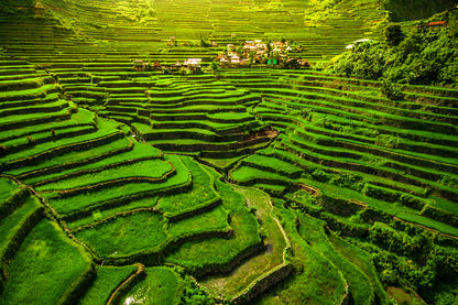 Rice Terraces on Mountain Print 100% Australian Made