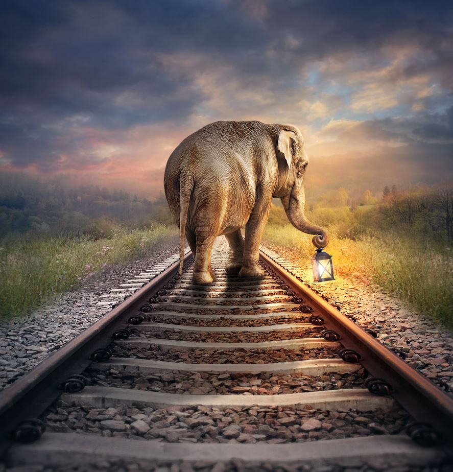 Square Canvas Elephant on Rail Track Art High Quality Print 100% Australian Made