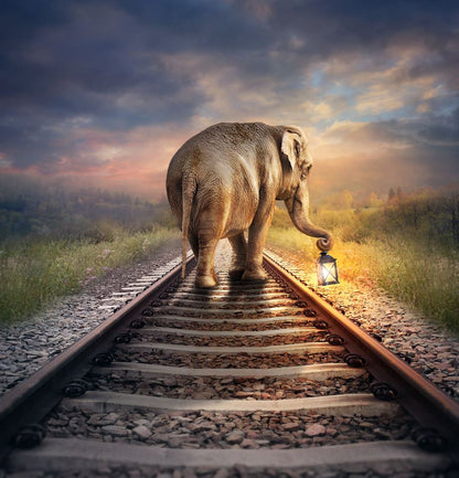 Square Canvas Elephant on Rail Track Art High Quality Print 100% Australian Made