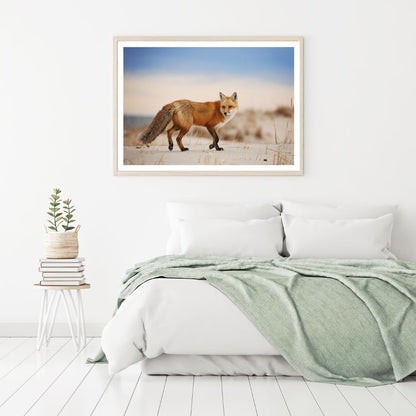 Fox Walking Photograph Home Decor Premium Quality Poster Print Choose Your Sizes