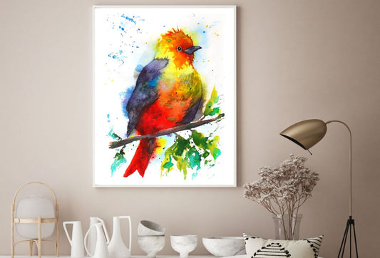 Colorful Bird Watercolor Painting Home Decor Premium Quality Poster Print Choose Your Sizes