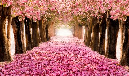 Pink Flower Road with Trees Print 100% Australian Made