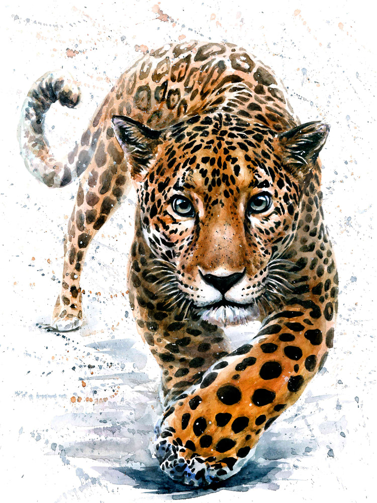 Leopard Portrait Watercolor Paint Print 100% Australian Made