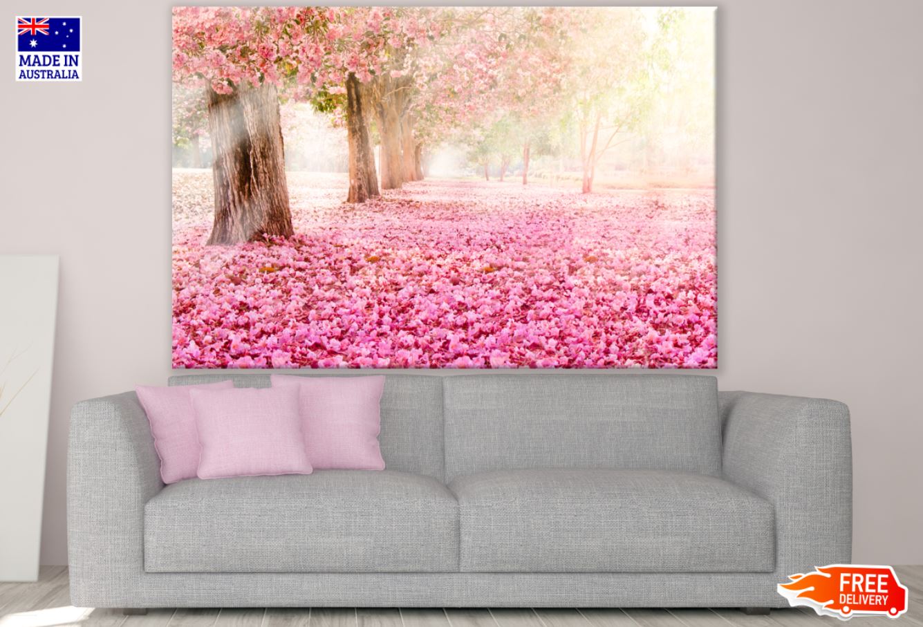 Blossom Trees Park Photograph Print 100% Australian Made