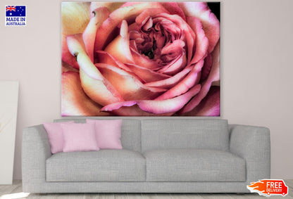Rose Flower Closeup Painting Print 100% Australian Made