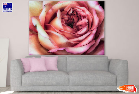 Rose Flower Closeup Painting Print 100% Australian Made