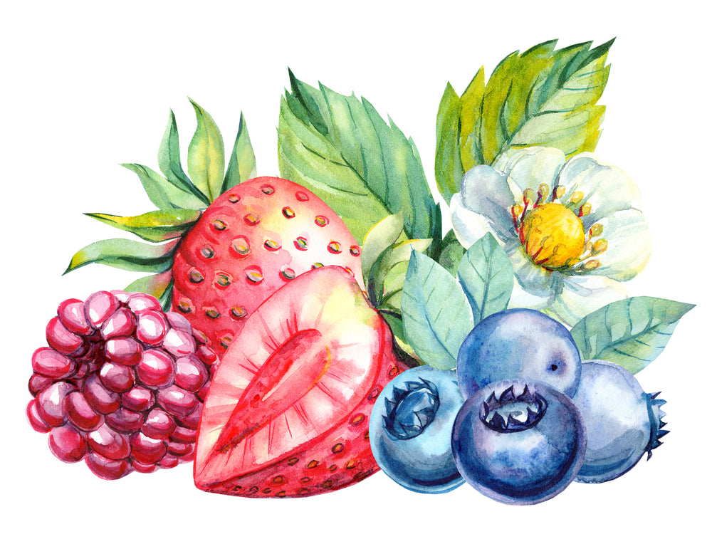 Fruits Watercolor Painting Print 100% Australian Made