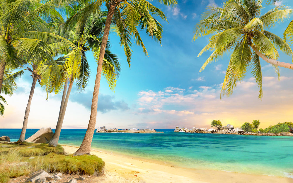 Beach with Trees & Rocks Photograph Print 100% Australian Made