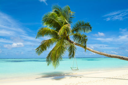 Palm Tree on Beach Photograph Home Decor Premium Quality Poster Print Choose Your Sizes
