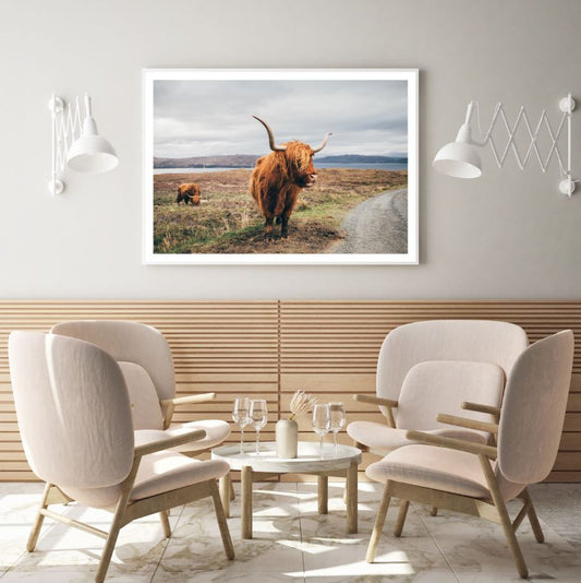 Highland Cow in Field Photograph Home Decor Premium Quality Poster Print Choose Your Sizes