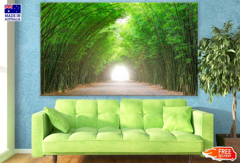 Road in Bamboo Forest Photograph Print 100% Australian Made