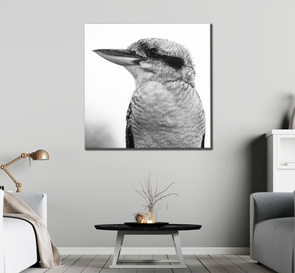 Square Canvas Kingfisher Bird B&W Photograph High Quality Print 100% Australian Made