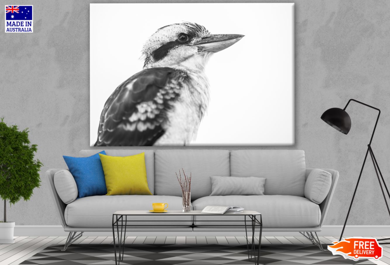 Kingfisher Bird Portrait B&W Photograph Print 100% Australian Made